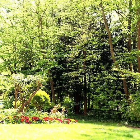 Comme A La Maison ! Poissy